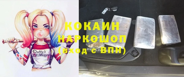 мдпв Лабытнанги