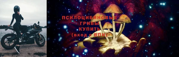 мдпв Лабытнанги