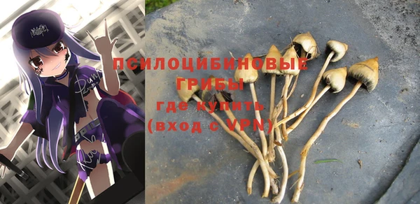 гидропоника Лагань
