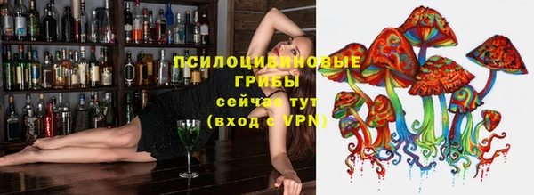 мдпв Лабытнанги