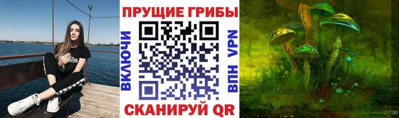 Купить  Переславль-Залесский  Псилоцибиновые грибы Cubensis 